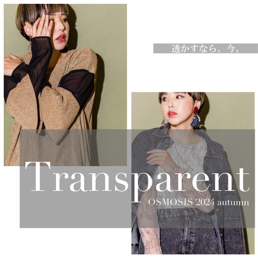 Transparent 2024 autumn