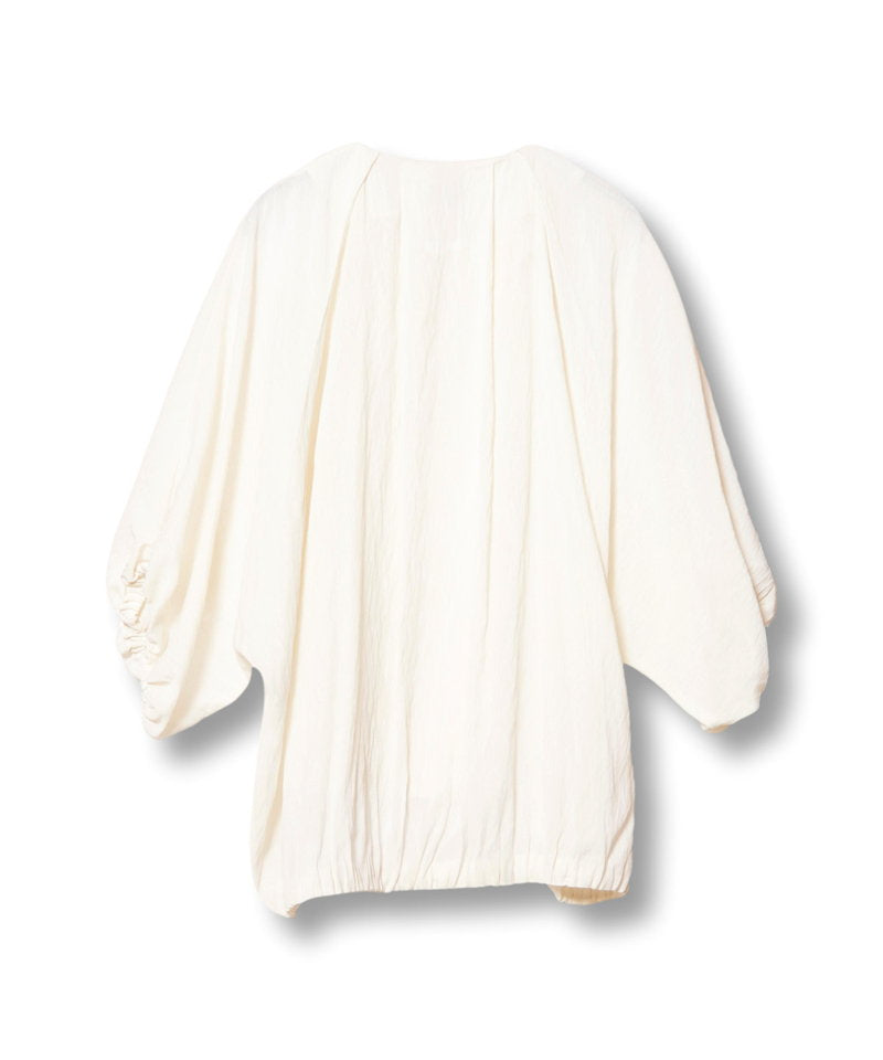 IVORY back