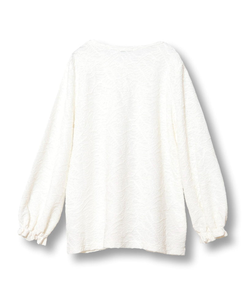 IVORY back