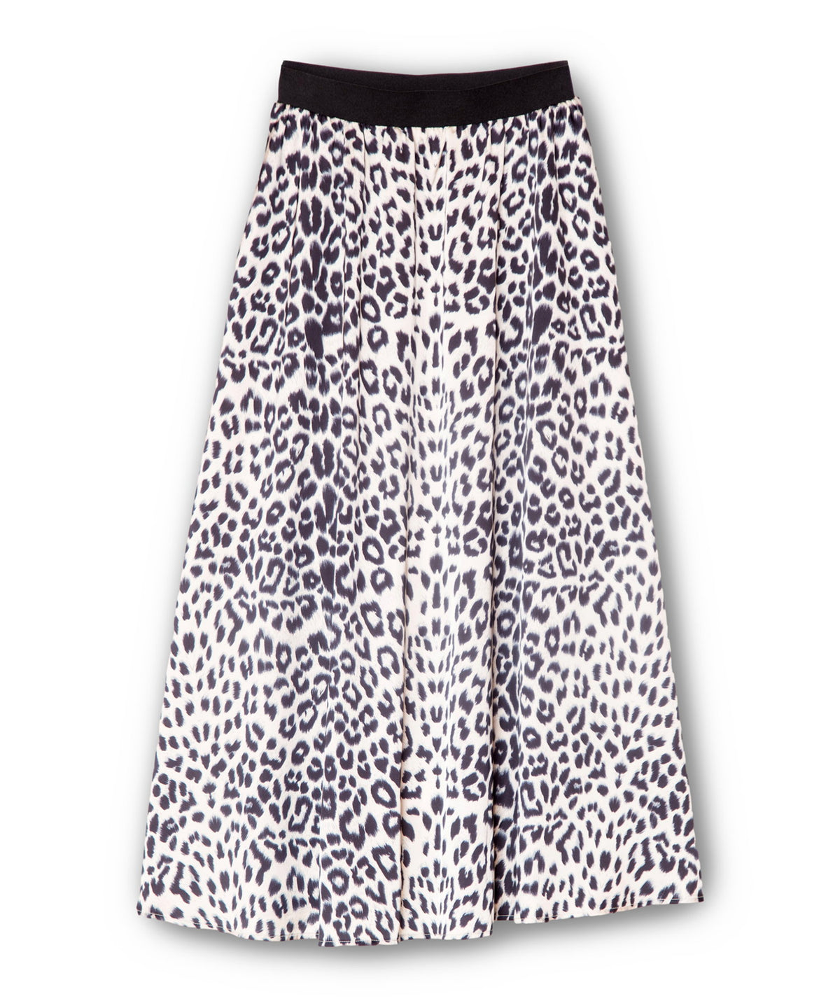 IVORY back